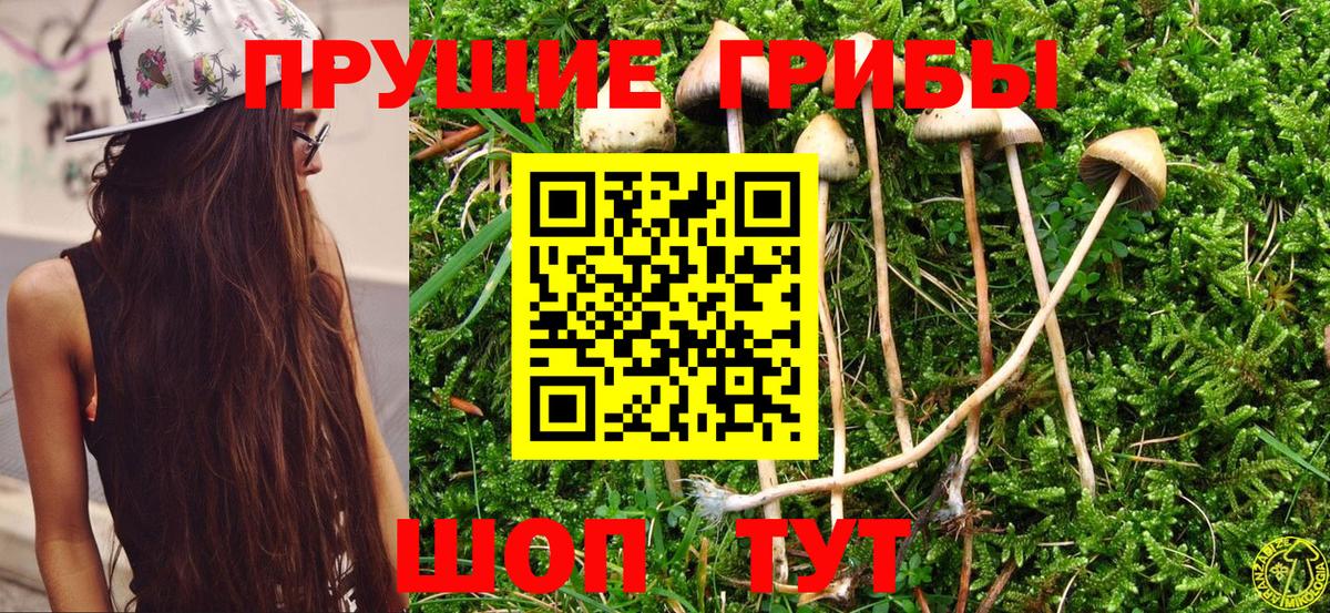Галлюциногенные грибы Cubensis  Вход с VPN  Магнитогорск 